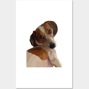 Cute brown and White puppy Posters and Art